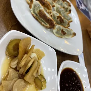 Fried Dumplings- Shrimp &amp; Pork