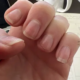 2024 Nov nails are trying to grow