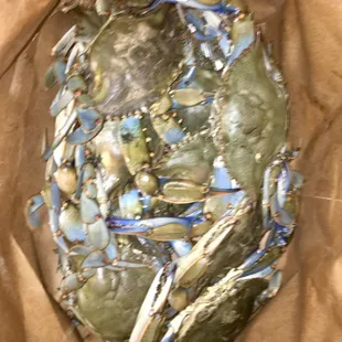 Size Med #2. These crabs were so meaty &amp; delicious! I was pulling out LUMPS of meat! :~P