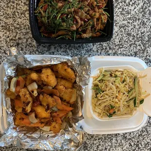 P9. Spicy Pork with Cilantro, F2. Spicy Twice Cooked Fish, A9. Mixed Vegetables Salad