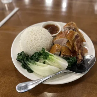 Roasted duck over rice