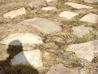 Oso Bay Wetlands Preserve & Learning Center