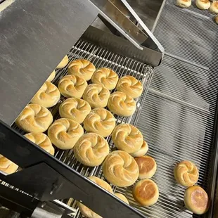  a conveyor belt full of bagels