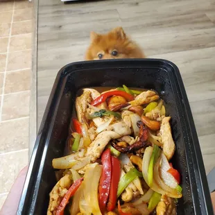Stirred Fried Chicken N Cashew Nuts