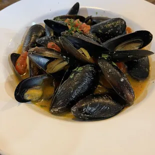 Mussels