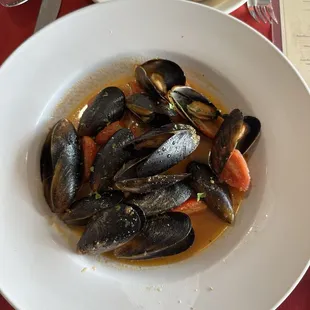 Amazing white wine mussels