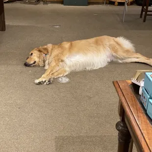 Well Deserved Rest after dealing with customers
