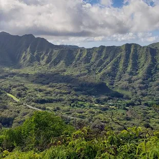 Farther up, see Pali Hwy
