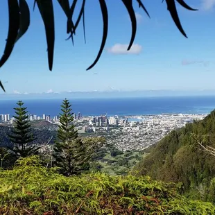 Views from trail