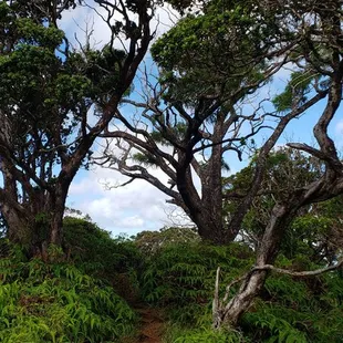 Great marked trail