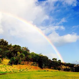 Rainbow!