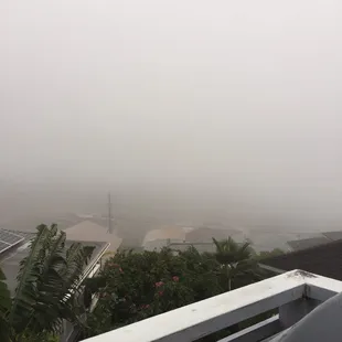 Crummy weather 50 foot visibility