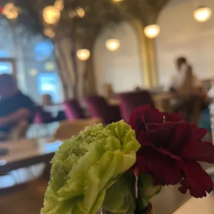 Small but cuteness classy