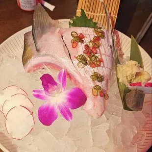 Hamachi Collar