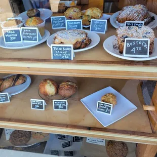 Display case (02/2025)