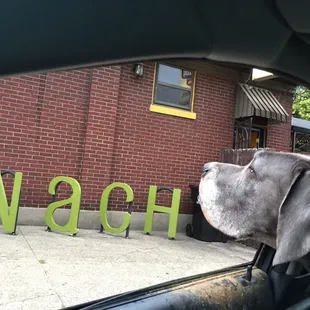 Akoya Bear at nach bar on Friday night :)