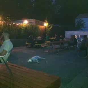 Back yard.   Trailer in back ha 5 extra taps.