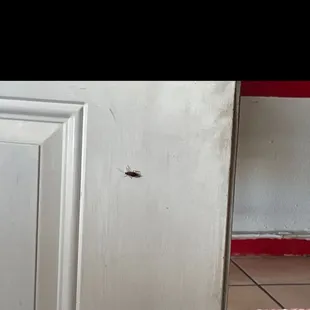 a bullet hole in the door