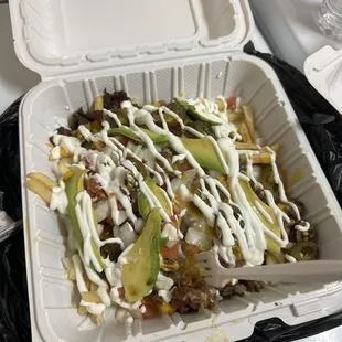 Tiny portion of carne asada fries