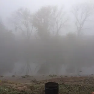 Foggy