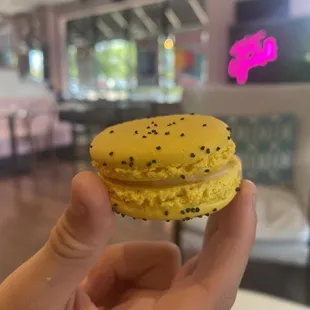 Lemon poppyseed macaroon- tasty! Wish they was little more filling