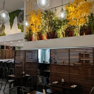 Inside. Dining room. View from back of restaurant facing the kitchen (right) and sushi bar (left). Love the plants.