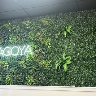 Wall decor
