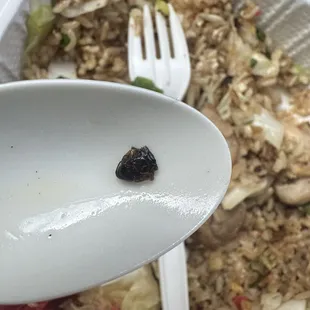 This was a cockroach in my daughter's fried rice!