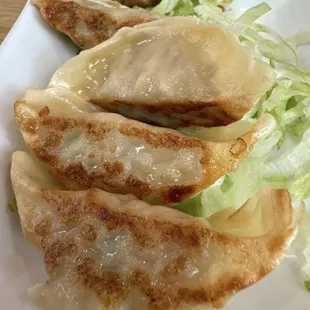 Gyoza