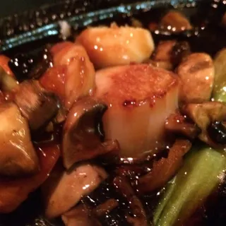 Scallop