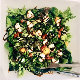 Mozzarella Caprese Salad