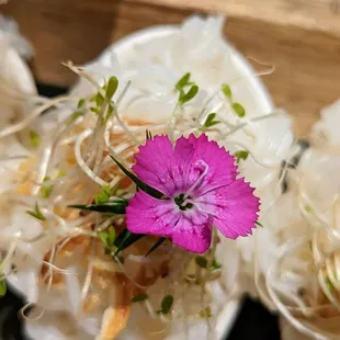 a pink flower in a white spoon