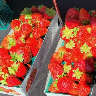 two boxes of strawberries