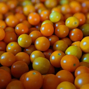 a lot of tomatoes