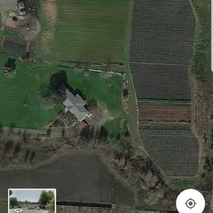 Satellite map view of Nai&apos;s Berry Farm