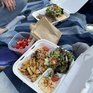 Gyro Plate