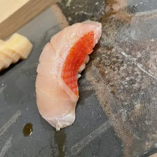 Snapper