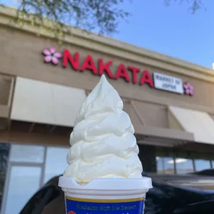 I am addicted to ice cream