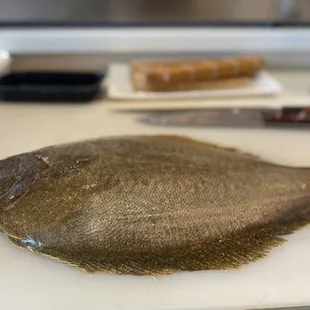 Very Fresh Korean Hirame for Sushi or Sashimi