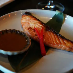 Saimon with Miso