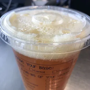 Living With Gratitude Kombucha! (Ginger et al)