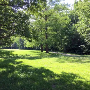 Trail Along Indian Creek