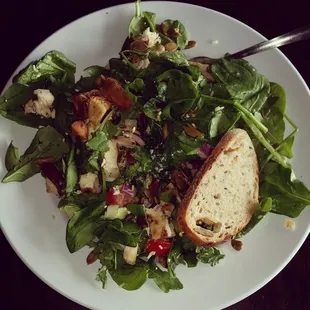 Kale, arugula, baby spinach, tomatos, cucumbers, broccoli, sprouts, croutons, pumpkin seeds and cucumber yogurt dressing.