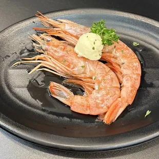 Argentine shrimp