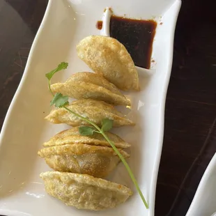 Pan Fried Dumplings