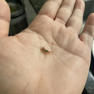 Nail clippings in my food!!!
