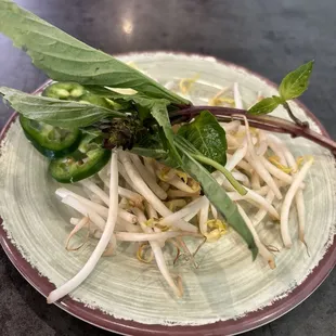 noodle dish, noodle soup, ramen, food, ramen and noodles, noodles