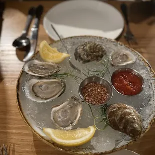 Oyster