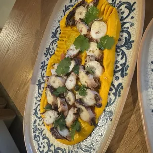 Octopus