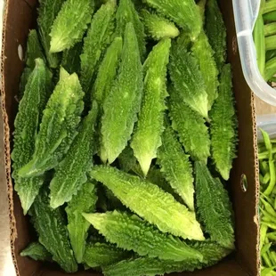 a box of bitter gourds
